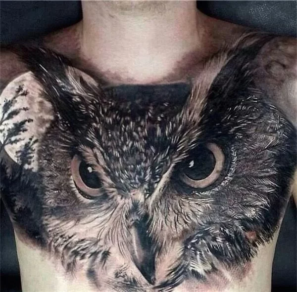 50 Awesome Owl Tattoos On Chest
