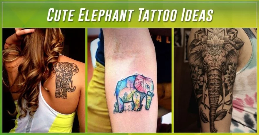 Color Elephant Tattoo by Meng Xiangwie TattooNOW