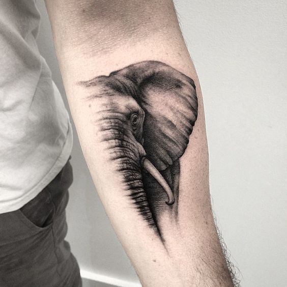 60 Best Elephant Tattoos – Meanings, Ideas and Designs 2019