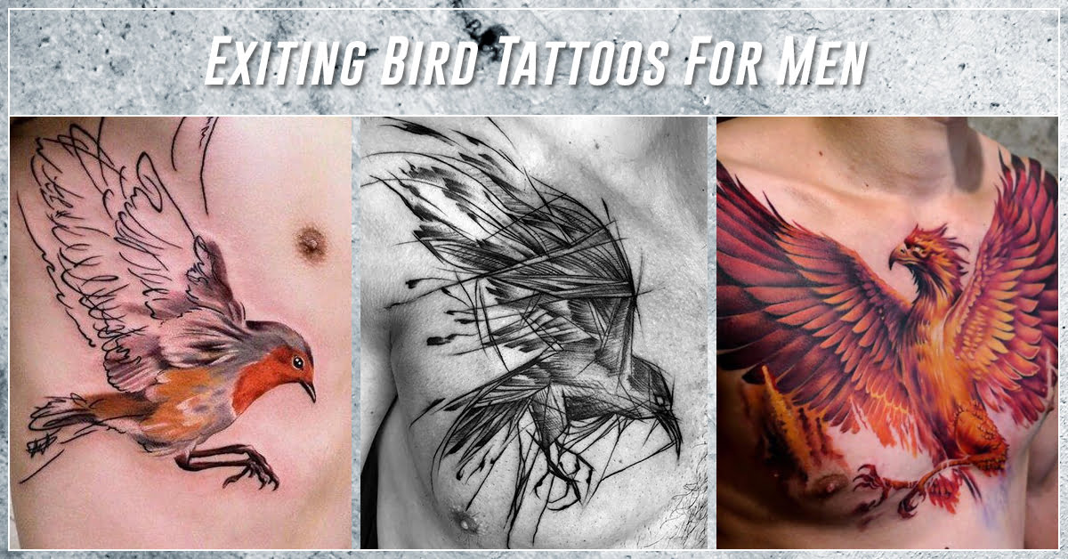 60 Best Bird Tattoos that Express Freedom, Wisdom, and Transformation –  Meanings, Ideas and Designs