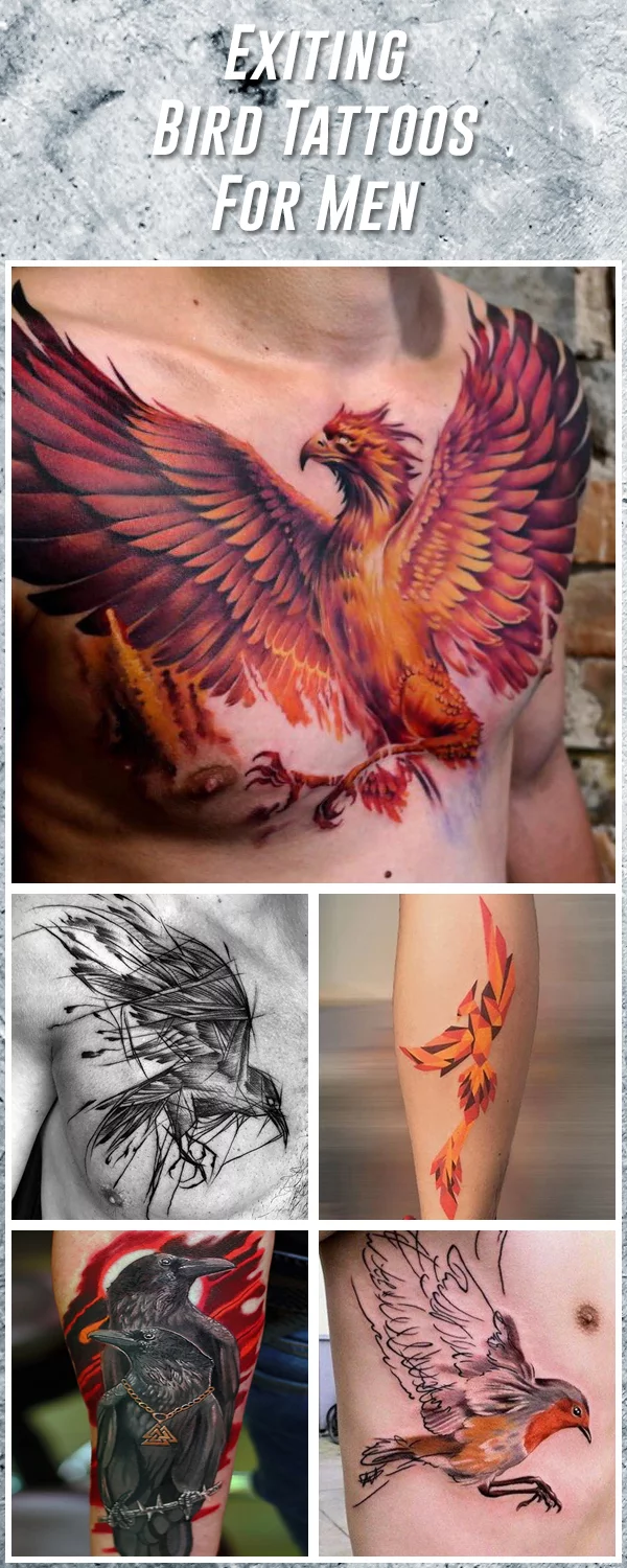 Bird Tattoos for Women  Their Special Meaning  Tattoo Glee