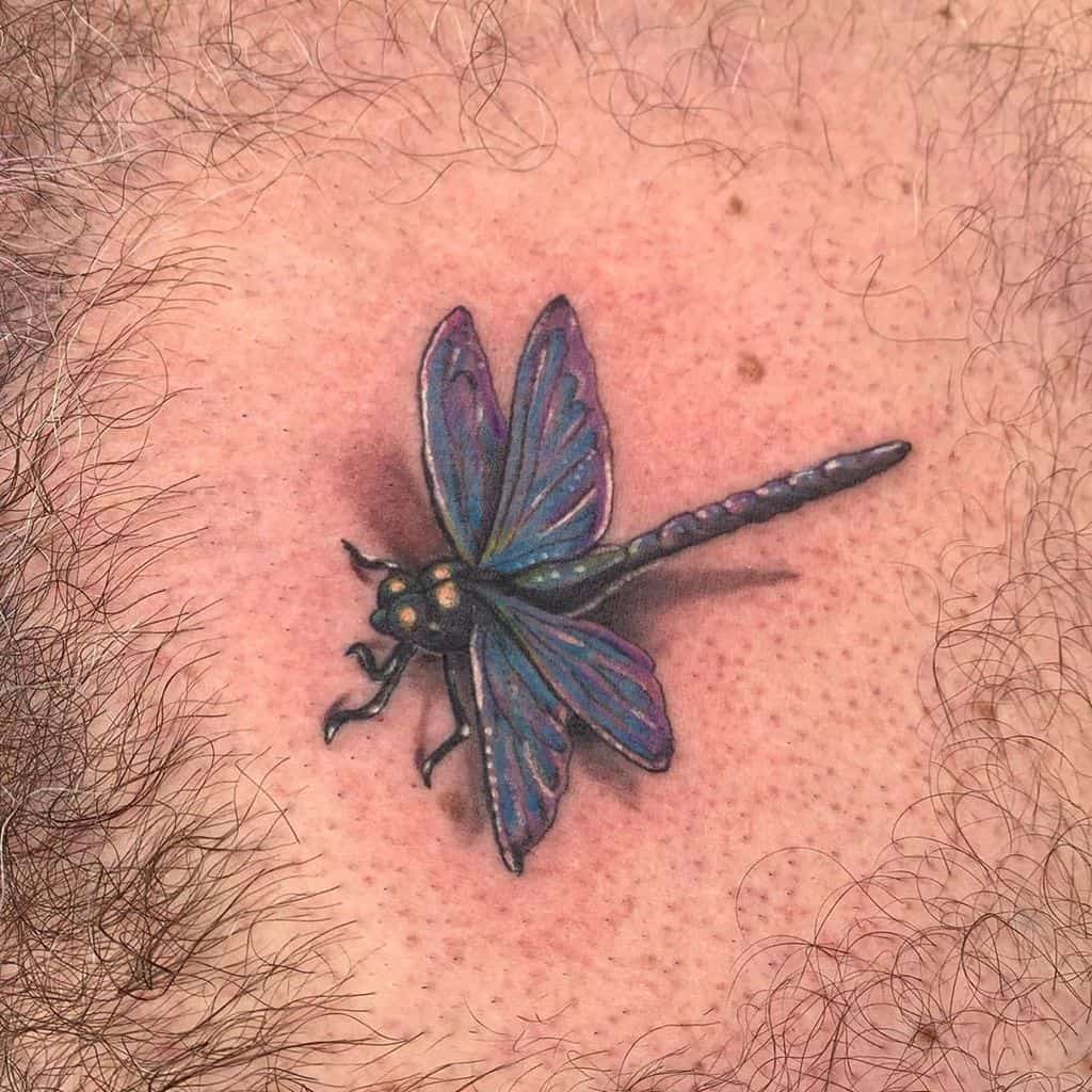 Top 15 Beautiful Dragonfly Tattoo Designs and Ideas