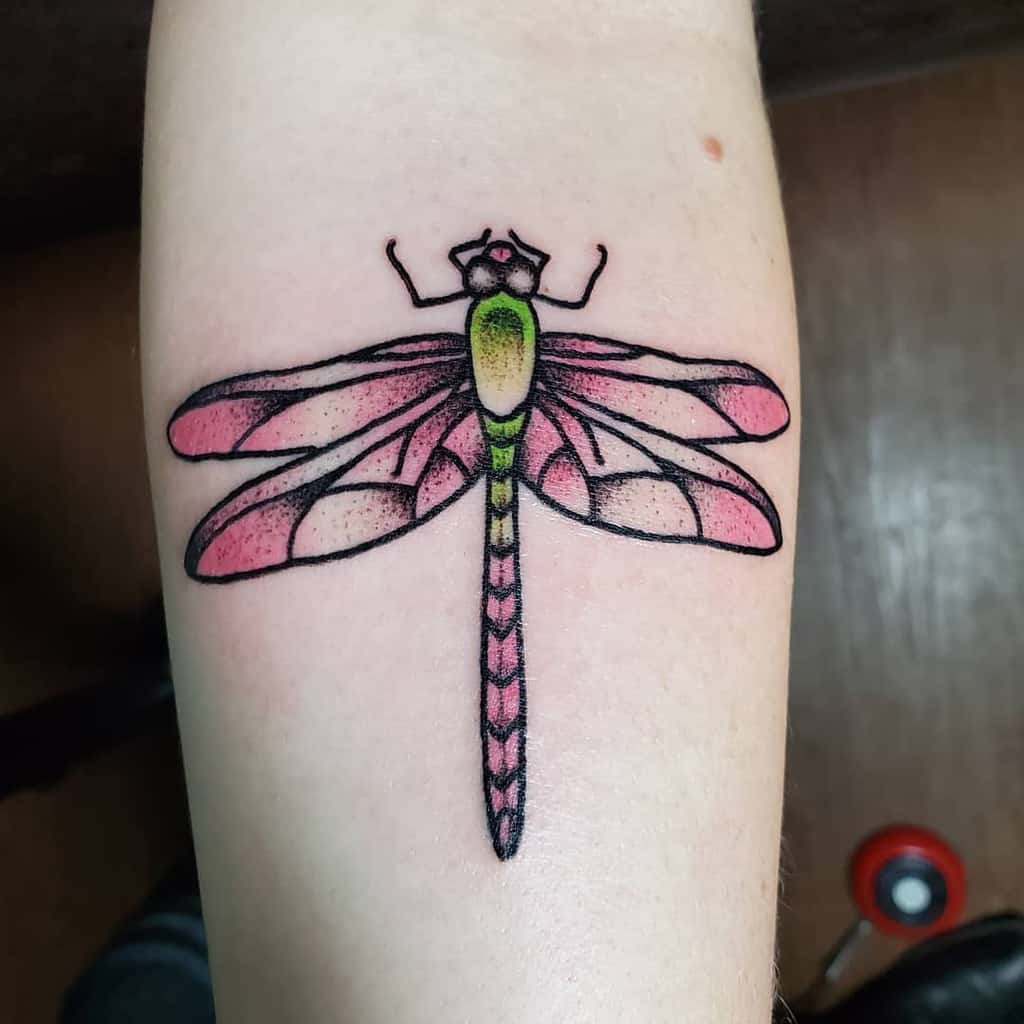 Giant Dragonfly