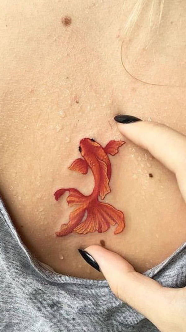 dragon koi