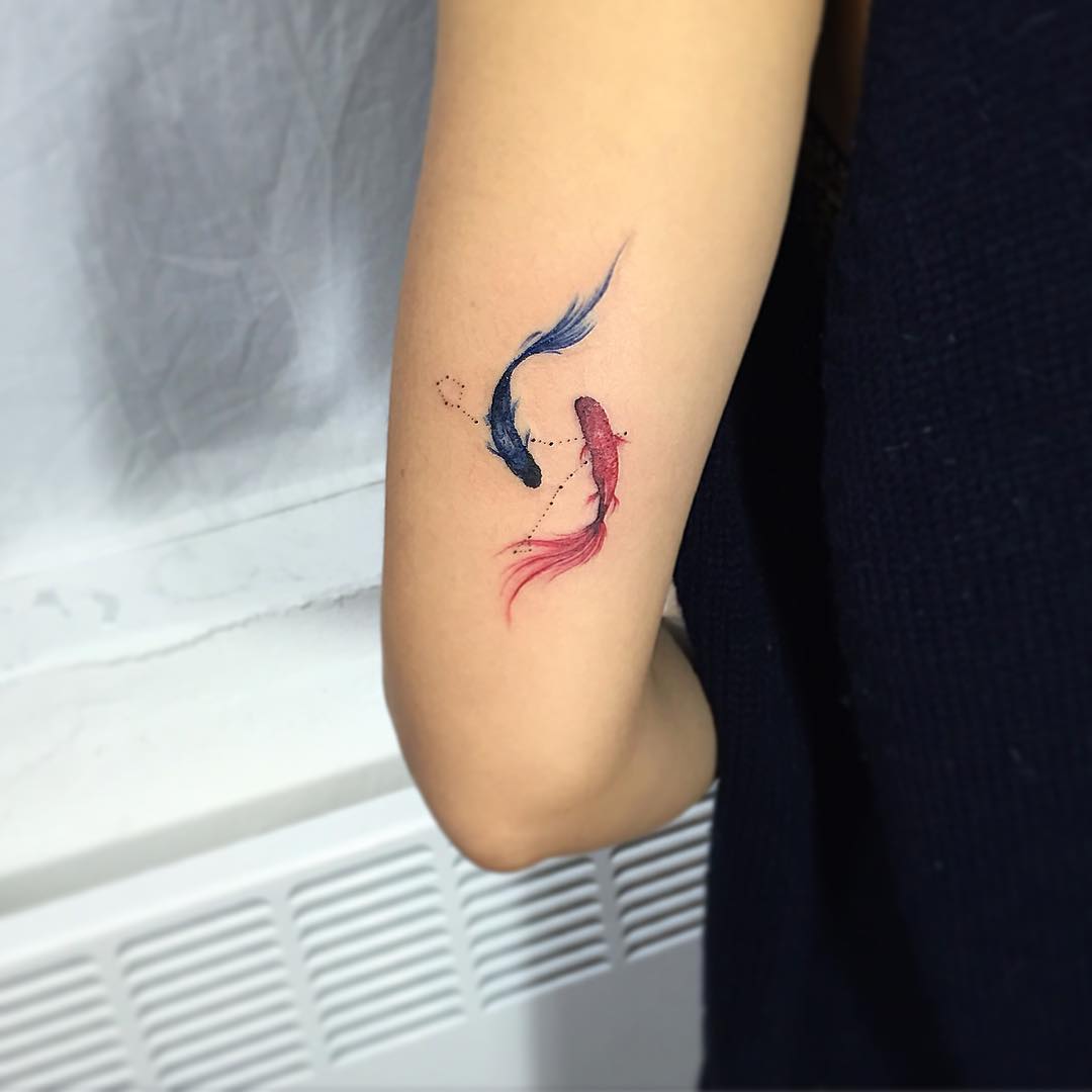 dragon koi