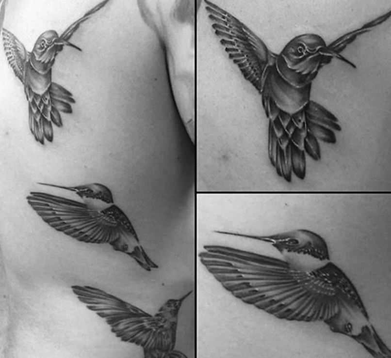 Three Black and White Hummingbirds in Flight