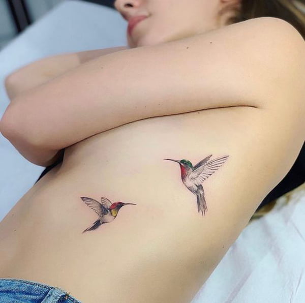 Hummingbird Tattoo Designs with to Species