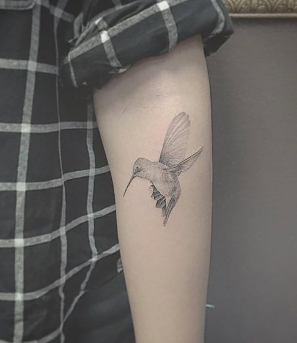 Softly Shaded Gray Hummingbird Tattoos from Tattoo Artist
