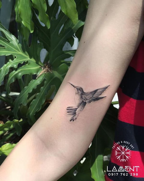 Realistic Hummingbird Tattoos with Dark Speckles