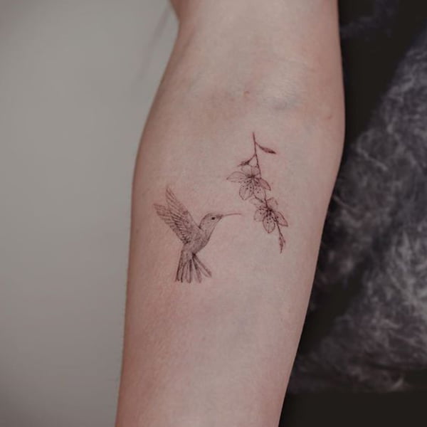 Pencil-Drawn Hummingbird Tattoos Design with Flowers from Tattoo Artist
