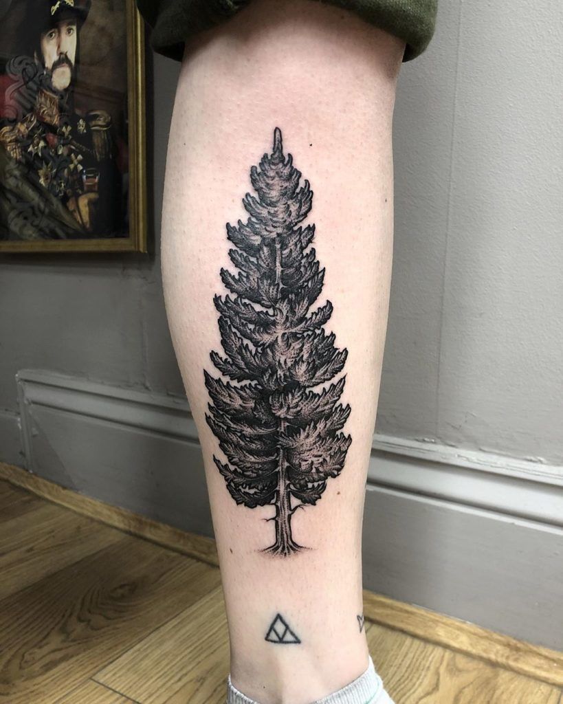 Defined Calf with Dramatic Tree Tattoos