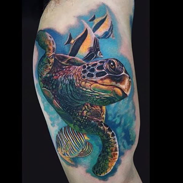 Swimming Green Sea Turtle and Fish