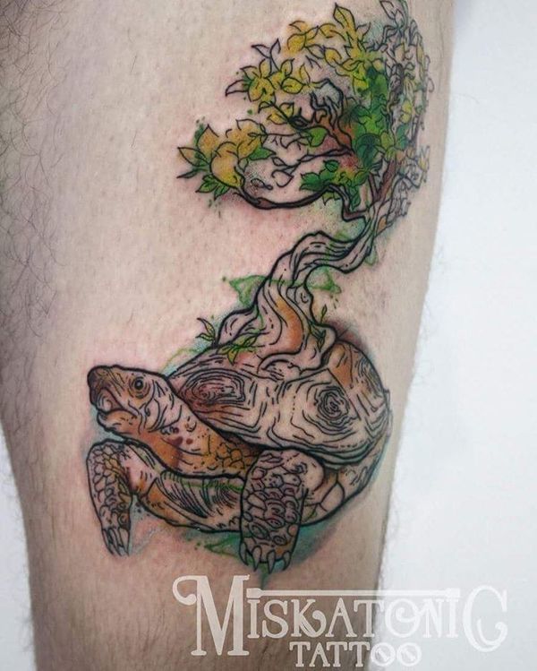 Tortoise with a Tree Growing on its Shell Turtle Tattoos