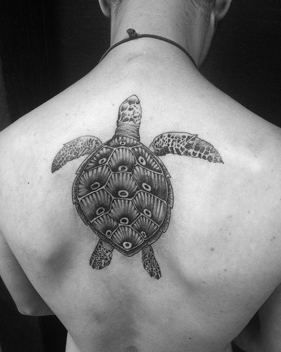 Detailed Sea Turtle on Upper Back Turtle Tattoos