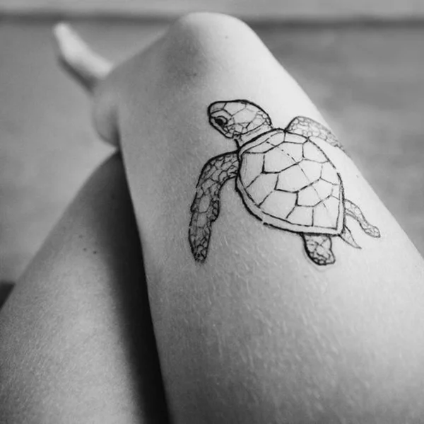 Sea Turtle Above the Knee Turtle Tattoos