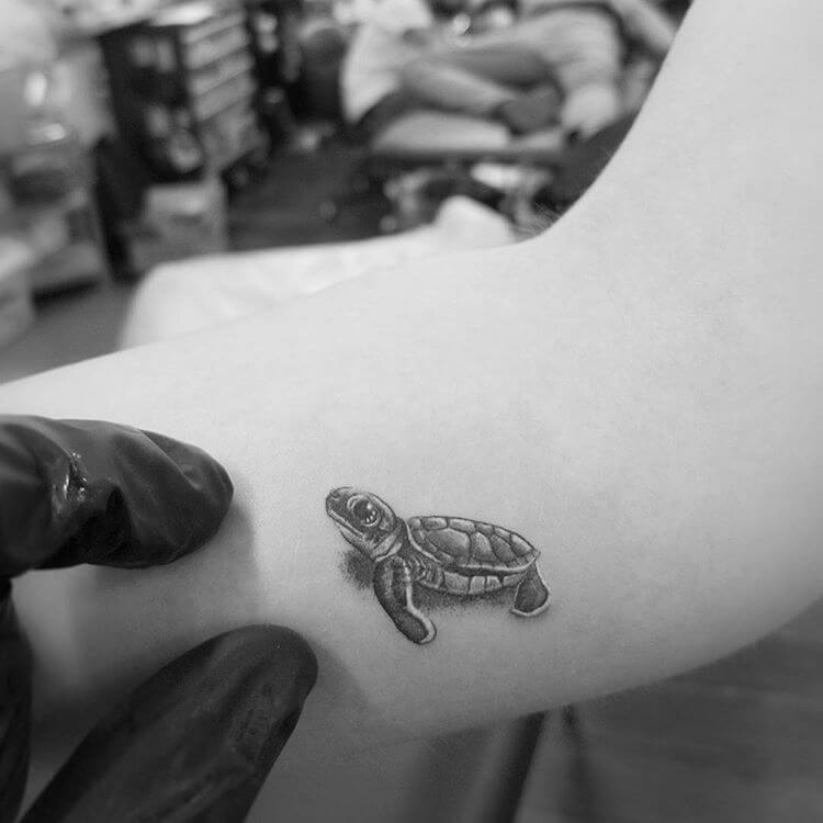 Realistic Baby Sea Turtle Tattoo