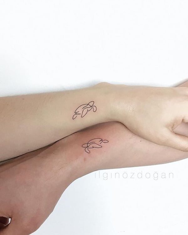 Matching Single Line Sea Turtles